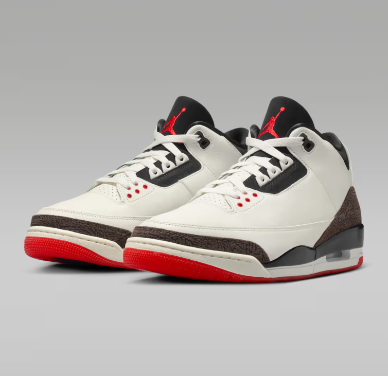 Air Jordan 3 World's Best